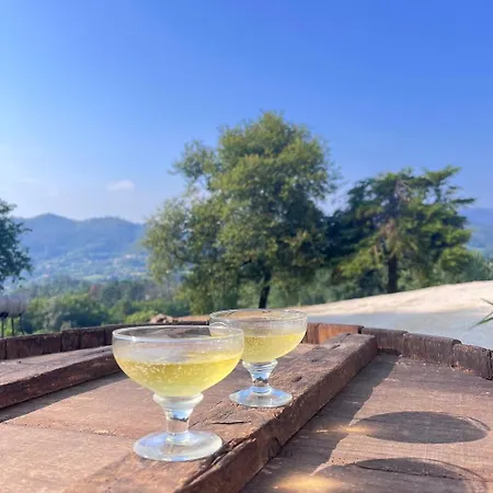 Quinta Do Aleixo