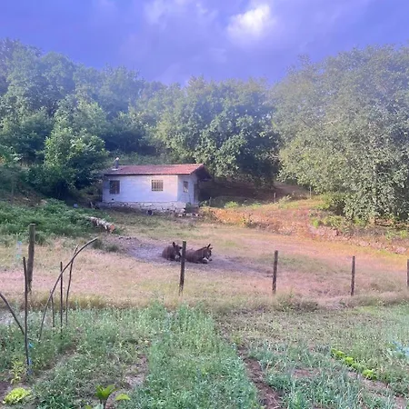 Quinta Do Aleixo Prázdninový areál Vieira do Minho
